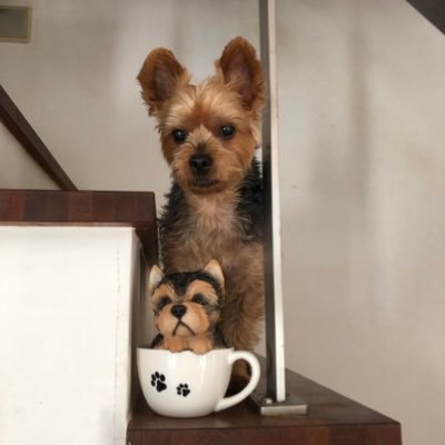 haruyukiUCHIDA's profile picture. 附属鎌倉中69期/法政システムデザイン