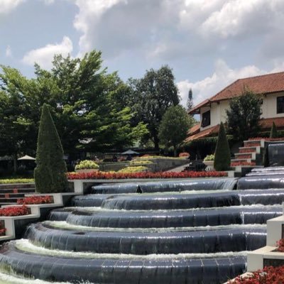 1411Moosi's profile picture. 