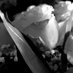 Amber Showalter (@ams1977artsy) Twitter profile photo Amber Showalter (@ams1977artsy) Twitter profile photo