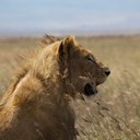 Mike Radke - @QuixoticBuddha - Twitter