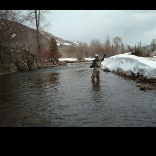 jtfocus1's profile picture. 