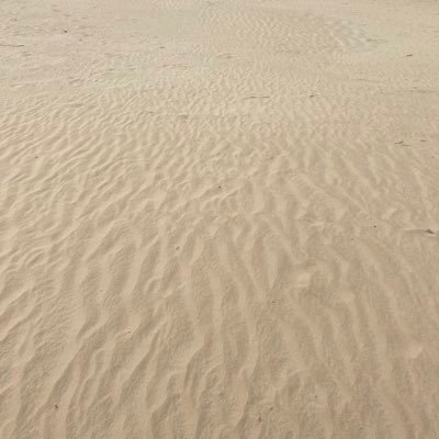 Jeanderuytiers's profile picture. 