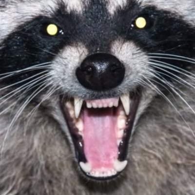 CancelBot7's profile picture. Shame