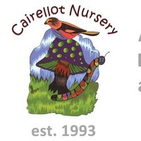CairellotNursery (@cairellot1993) 's Twitter Profile Photo CairellotNursery (@cairellot1993) 's Twitter Profile Photo