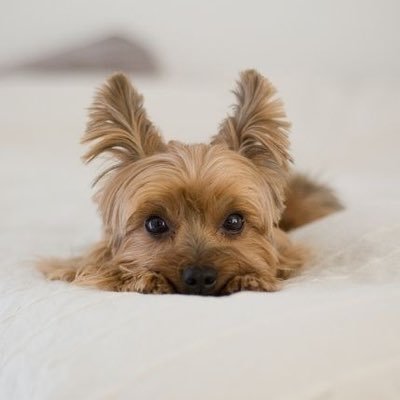 MelMil513's profile picture. Proud mother, daughter, lover, educator, & friend.