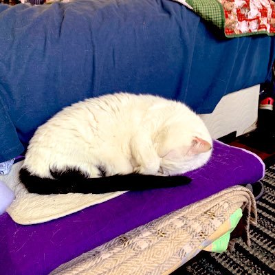 dalluvswatlh's profile picture. 