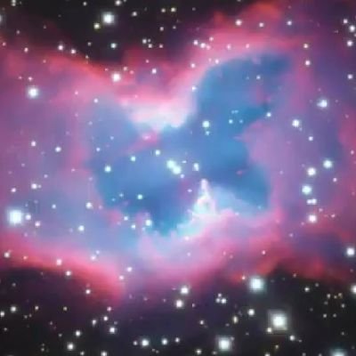 AviSreefam's profile picture. 