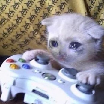 oualilweb's profile picture. 🪲 Part-time Bug Bounty Hunter