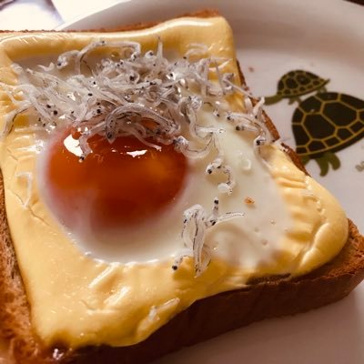 ぶんみさんのプロフィール画像