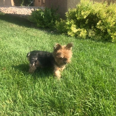 EFHernandez1's profile picture. Liberal, Retired Union member, Colorado Rockies fan, Navy veteran, #FBR, Retired Locomotive Engineer, vaccinated