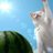 ryo_kkcat