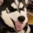 mark5043's profile image