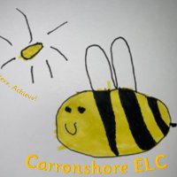 Carronshore ELC(@CarronshoreNur) 's Twitter Profile Photo