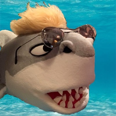 I'm just like you...but a shark. (@toekneesam) #joshgatestonight #sharkweek2020 @sharkweek @discovery And yes ... I BITE, DUM DUM! VIDEOS: https://t.co/WxnCA9cN5Q