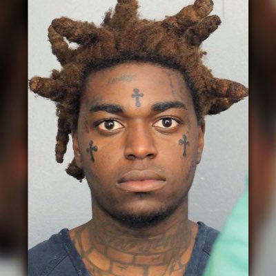 Darrien305's profile picture. Nobody Gave me Shit I had to Go in Take The Shit