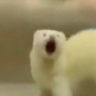 TiredandShite's profile picture. 