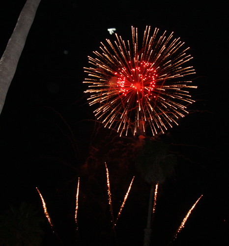 #Fireworks #surprises #tolerance #fun

What do you do when you are perpetually suspicious.
