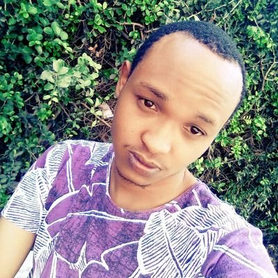 wizlimour's profile picture. legal ⚖️.