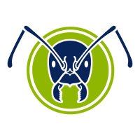 The Ant Network 🐜 (@antnetworksm) 's Twitter Profile Photo The Ant Network 🐜 (@antnetworksm) 's Twitter Profile Photo