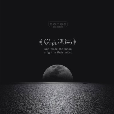 naiefalajmey's profile picture. 