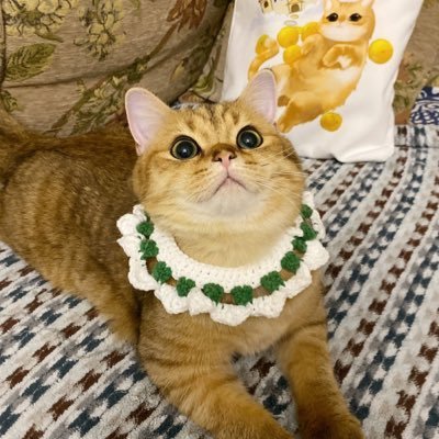 남지새さんのプロフィール画像
