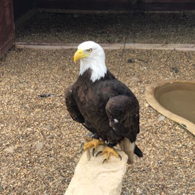 Rob24913197's profile picture. 