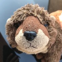 Andrew Anderson (@andya1978a) 's Twitter Profile