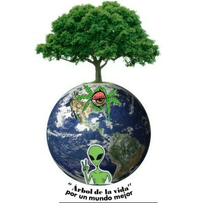 Árbol de la vida por un mundo mejor/ GRUPO ACTIVISTA PARA LA CONSERVACIÓN DEL MEDIO AMBIENTE