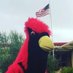 Cardinal Newman ASB (@newman_asb) Twitter profile photo Cardinal Newman ASB (@newman_asb) Twitter profile photo