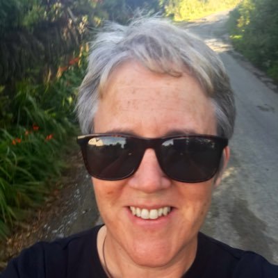 OSullivanLinda's profile picture. Lecturer & Academic Project Lead, @TLU_MTU