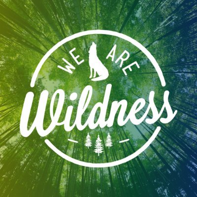 Find us on FB, IG and TT: @wearewildness 🐺 🌲