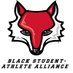 Marist Black Student-Athlete Alliance (@MaristBSAA) Twitter profile photo