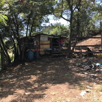 globalissues17's profile picture. 