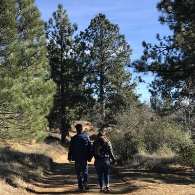 gtz3114's profile picture. 