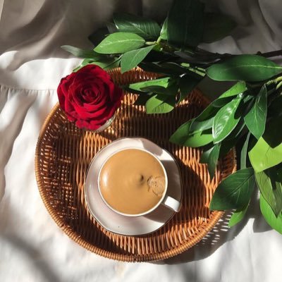 Norah2014o's profile picture. 