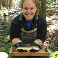 Shannon White (@thetroutlook) 's Twitter Profile