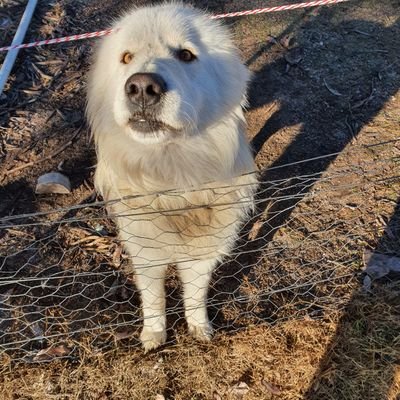 cateye163's profile picture. 