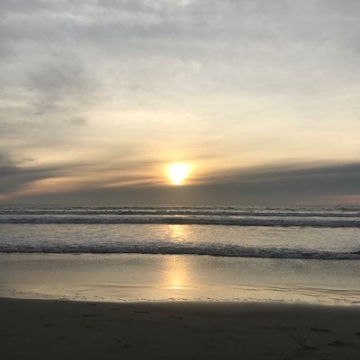 MinionsGamer18's profile picture. Executive on @MagicalAtt