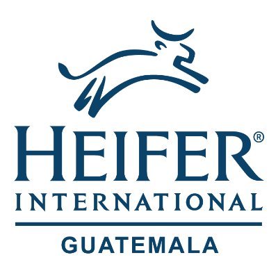 Heifer International Guatemala desde 1970 trabajando por el desarrollo rural de familias Guatemaltecas.