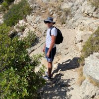 Sortino (@labreize13) 's Twitter Profile