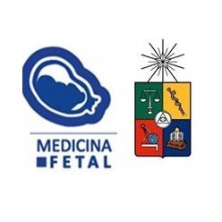 Unidad de Medicina Materno Fetal - Servicio de Obstetricia y Ginecología del Hospital Clínico de la Universidad de Chile