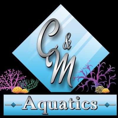 C&M Aquatics specializes in the growing and propigation of common and rare corals and invertibrates.
