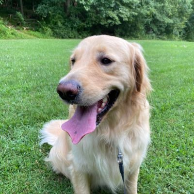 joe_pollard's profile picture. Retired USMC Gunny and fan of the Fab Four - Pronouns: I/me/mine