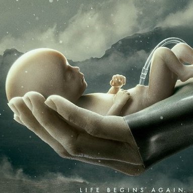 raisedbwfans's profile picture. Fan account dedicated to Ridley Scott's "Raised By Wolves".