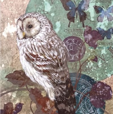 日本画家  綿引はるな

数年放置していたTwitterを再開。

フクロウ情報を求めてTwitter再開しました。
作品はInstagramにのせてます。