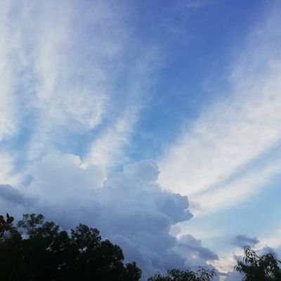 ninad29's profile picture. Wanderer, Father, Husband. All tweets personal.