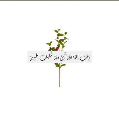 PinkAsoma's profile picture. "اللهم ارحمني يوم يصلون علي صلاة لا ركوع لها اللهم ثبتني عند السؤال اللهم ارزقني من يدعو لي بعد موتي🧡🧡. سبحان الرازق ذو القوة المتين🙏🏻