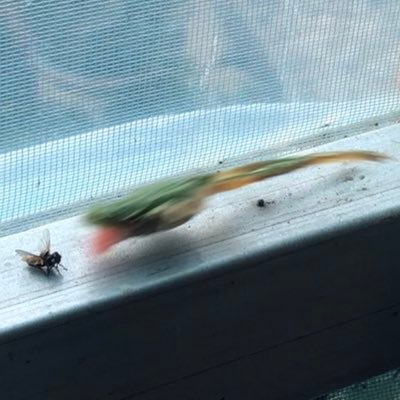 springwaterpark's profile picture. 