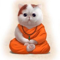 Old Monk(@TheMonk28366699) 's Twitter Profile Photo