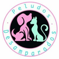 Peludos Desamparados(@Plu2Desampara2) 's Twitter Profile Photo